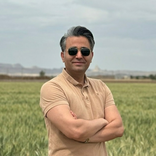 Ali Mohammadian, Technical Lead Engineer
